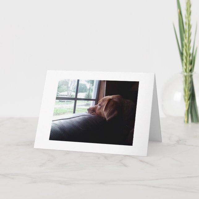 CARTÃO O TRISTE CACHORRO DIZ "SENHORA NO SEU ANIVERSÁRIO" (Frente)