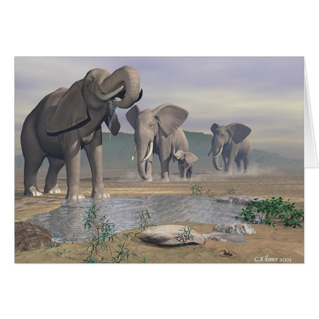 Cartão O último furo molhando (Frente Horizontal)