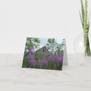 Cartão O Velho Barno Me Olhando Por Telefone