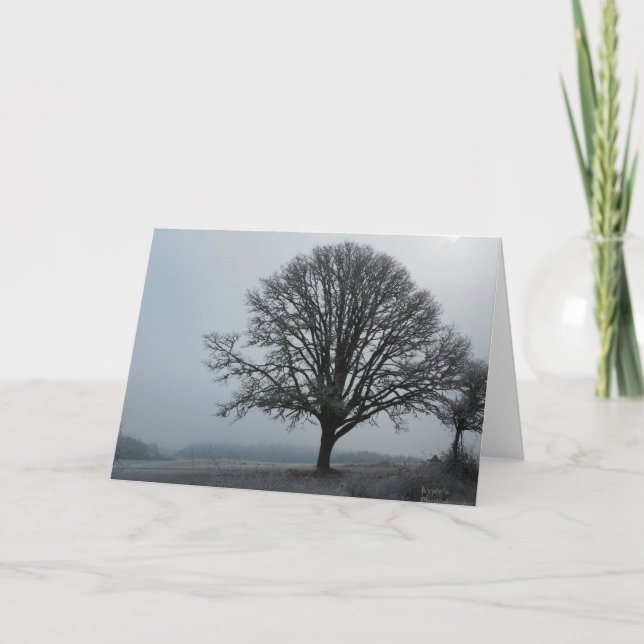 Cartão O velho carvalho.. (Frente)