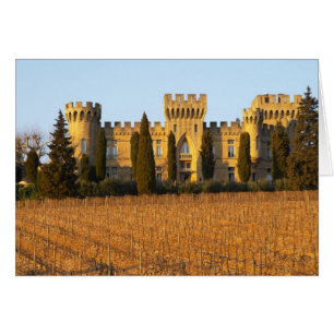 Cartão O vinhedo com videiras do syrah e o castelo