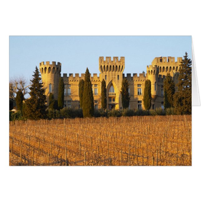 Cartão O vinhedo com videiras syrah e o castelo (Frente Horizontal)