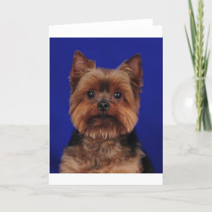 Cartão O Yorkie