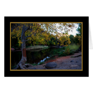 Cartão Oak Creek 246