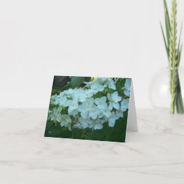 Cartão Oak Leaf Hydrangea Bloom Greeting Card
