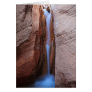 Cartão Oásis desolados