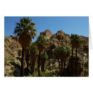 Cartão Oásis Lost Palms I no Parque Nacional Joshua Tree