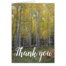 Obrigado amarelo de brilho do Aspen