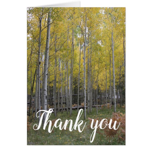 Cartão Obrigado amarelo de brilho do Aspen (Frente)