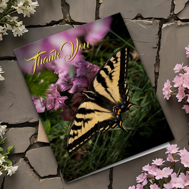 Cartão Obrigado Borboleta Nadada Pink Verão Floral (Pretty Tiger Swallowtail butterfly garden thank you card nature photo with pink flowers)