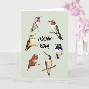 Cartão Obrigado, Hummingbird