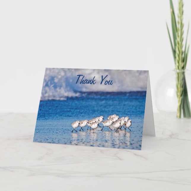 Cartão Obrigado! | Sandpipers Beach Birds (Frente)
