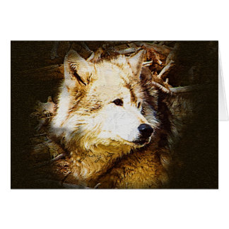 Cartão Observação do lobo cinzento