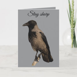 Cartão Observador Silencioso O Corvo Capa-preta