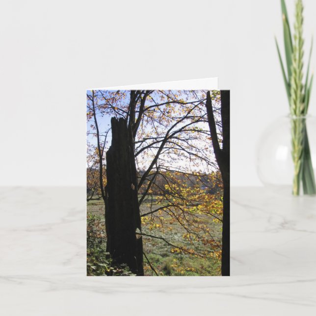 Cartão Observation and Imagination card (Frente)