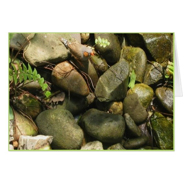 Cartão Obstáculos, cartão, texto para dentro (Frente Horizontal)