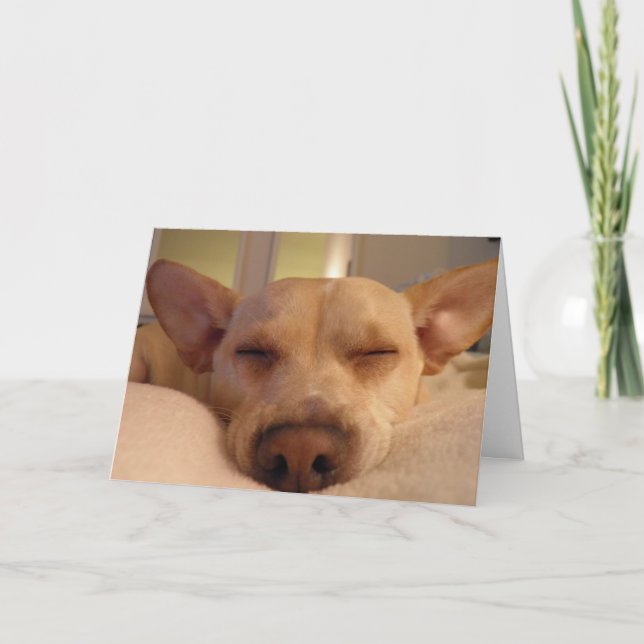 CARTÃO OBTENHA BEM LOGO (Frente)