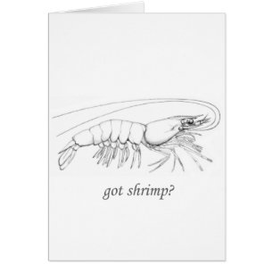 Cartão "obteve logotipo do camarão"