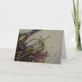 Cartão Ocean Beach Seaweed