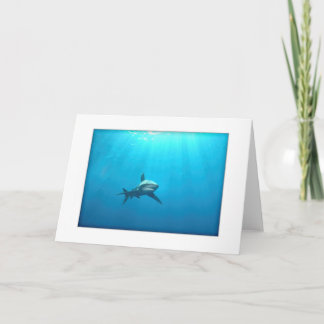 Cartão Oceanic Whitetip Shark Greeting Card