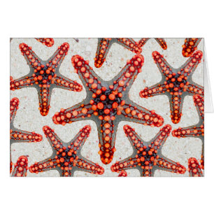 Cartão Oceano vermelho vibrante bonito Sealife da areia