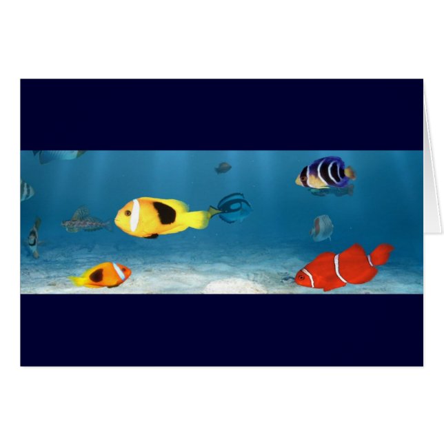 Cartão Oceanos dos peixes (Frente horizontal)