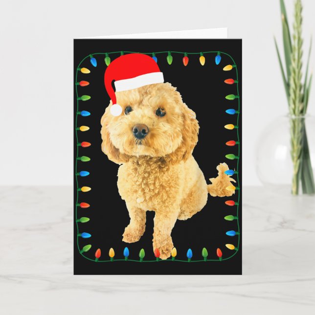 Cartão Ochon Puppy Dog Christmas Party Bicho Bichon Odle  (Frente)