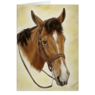 Cartão ocidental do cavalo