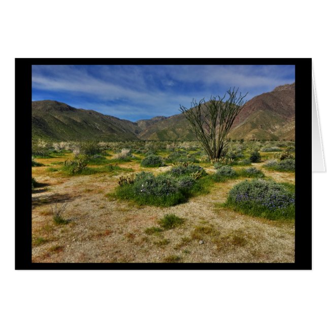 Cartão Ocotillo Borrego Springs 2017 (Frente Horizontal)