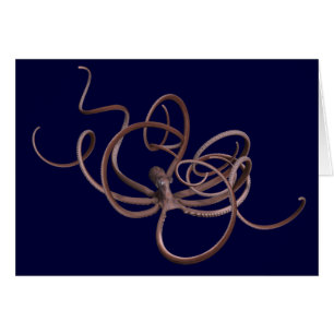 Cartão Octopus gigante