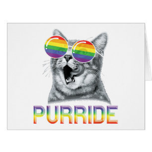 Cartão Óculos de Sol Arco-íris Orgulho Gay Gato Divertido