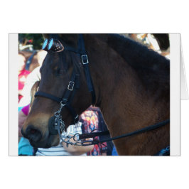 Cartão Óculos de visto do cavalo castanho escuro