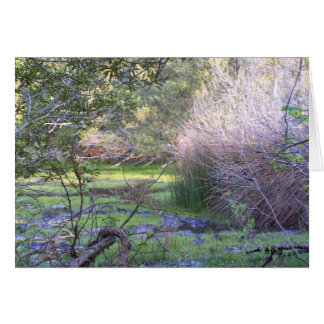 Cartão Ocultar e Procurar