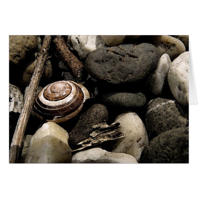 Cartão Ocultar e Procurar (Frente horizontal)