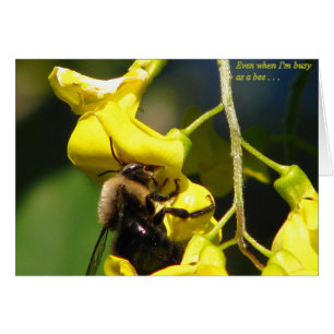 Cartão Ocupado como uma abelha