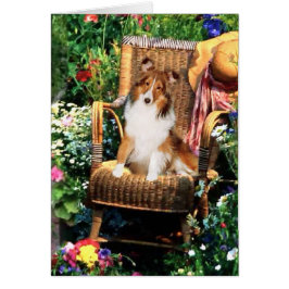 Cartão Ofertas de arte Shetland Sheepdog