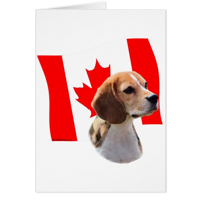 Cartão Oh Canadá...e Beagles. (Frente)