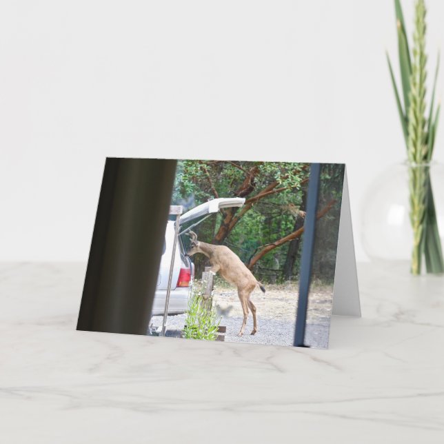 Cartão Oh Deer! (Frente)