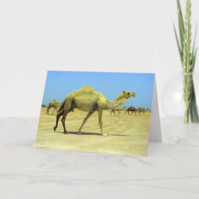 Cartão Oh happy day - camels in the desert (Frente)