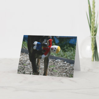 Cartão Oh-No Mr. Bill