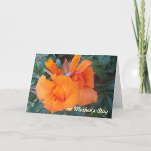 Cartão OH, Placa de Dia de as mães Laranja