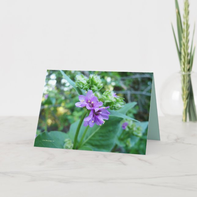 Cartão Oh So Purple (Frente)