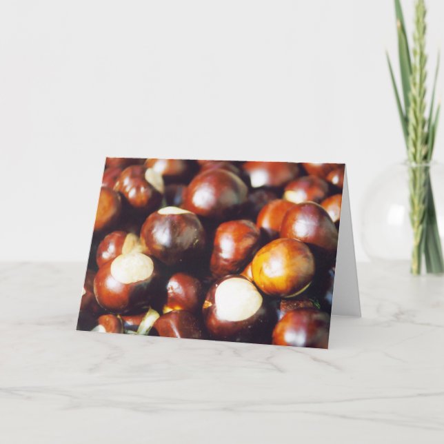 Cartão Ohio Buckeyes (Frente)