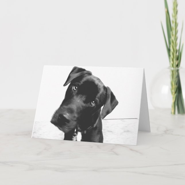 Cartão Olá. (Frente)