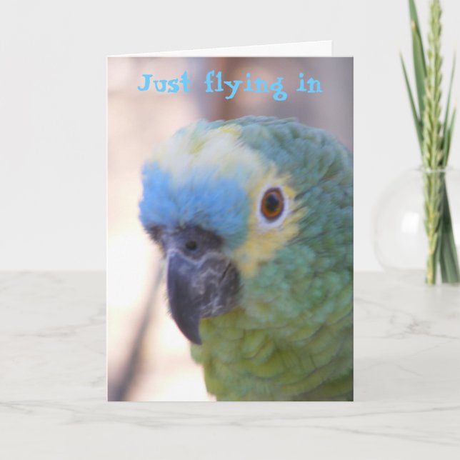 Cartão Olá (Frente)