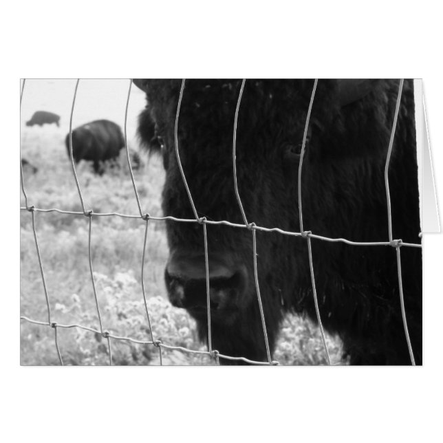 Cartão Olá (Frente Horizontal)