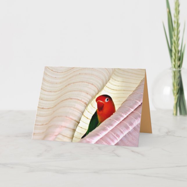 Cartão Olá! (Frente)