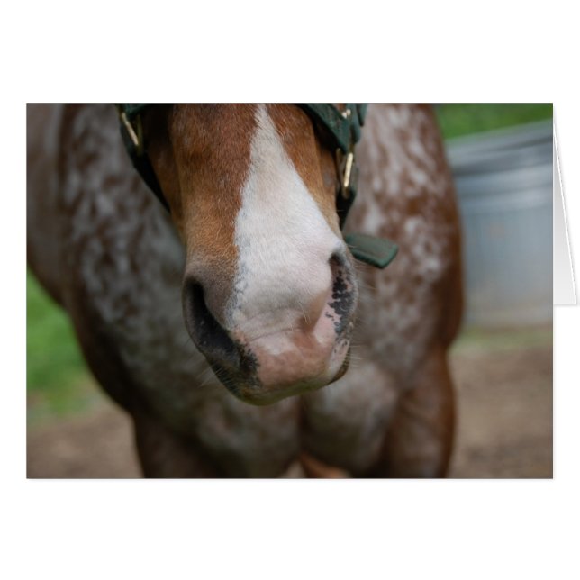 Cartão Olá! (Frente Horizontal)