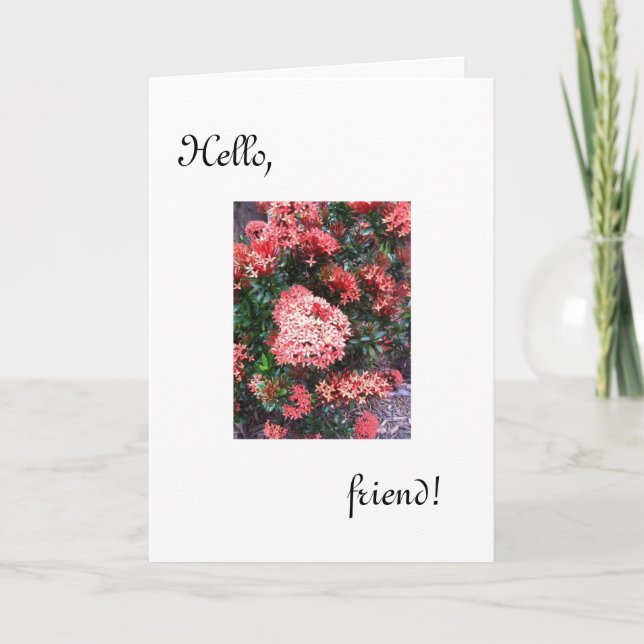 Cartão Olá, amigo, estou pensando em você. (Frente)