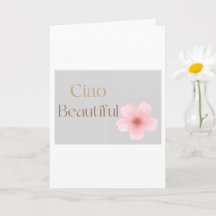Olá Belo, Presente Floral Elegante